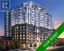 Toronto Apartment: 1 bedroom