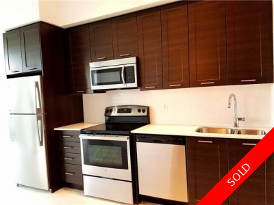 Toronto Condo: Studio