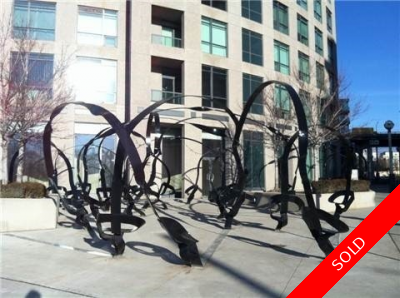 Toronto Condo: 1 + 1